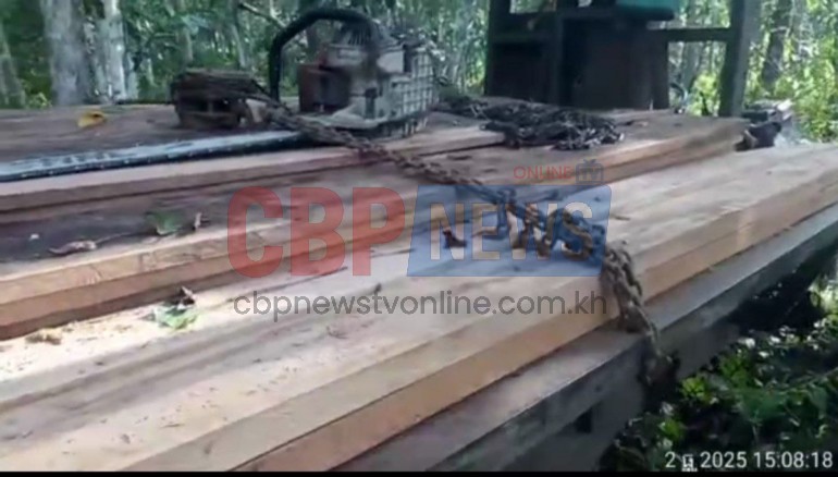 បទល្មើស​ព្រៃឈើ​នៅ​មណ្ឌលគិរី​កក្រើក​ឡើងវិញ​៖ ពលរដ្ឋ​ថា អាជ្ញាធរ​និង​មន្ត្រី​ជំនាញ​មិន​ហ៊ាន​បង្ក្រាប​ឈ្មួញ​ធំៗ​